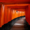 świątynia Fushimi Inari-taisha w Kioto